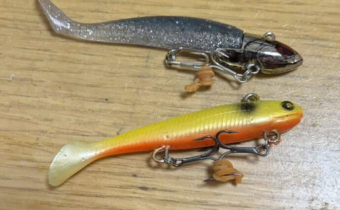 釣れなかったルアーはなぜ捨てられない？ 「いつか釣れるかも」期待感が理由か