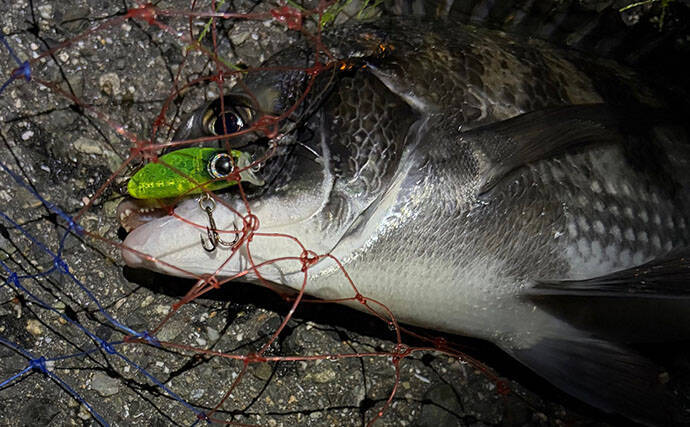 釣れなかったルアーはなぜ捨てられない？ 「いつか釣れるかも」期待感が理由か