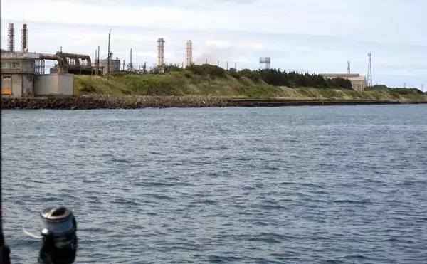 「「釣る人シロギス125尾！」東京湾の船キス釣りで数釣りチャンス【千葉・吉野屋】」の画像