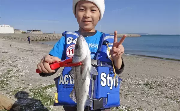 「釣り好きパパにオススメの夏休み自由研究テーマ：夏に砂浜で釣れる魚を調査」の画像