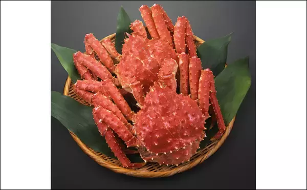 「カニは生物の最終形態？　「カニになっていく甲殻類」と「カニから離れていく甲殻類」」の画像