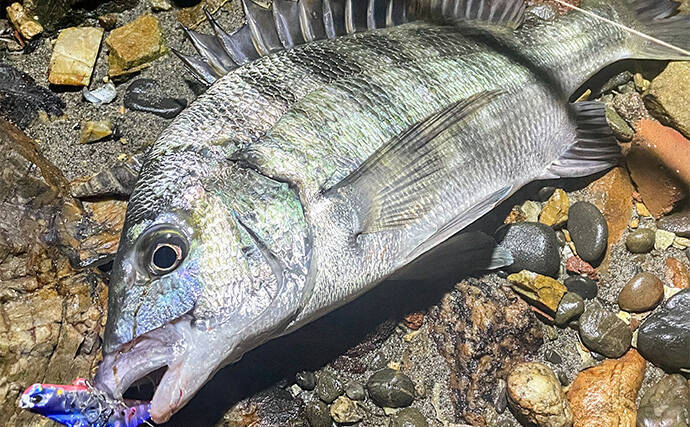 浜名湖でルアー釣りを楽しむなら「ライトゲームタックル」が圧倒的にオススメな理由