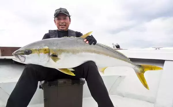 「「強風予報を覆す大金星！」玄界灘のキャスティングゲームで16.8kgのデカマサ出現」の画像