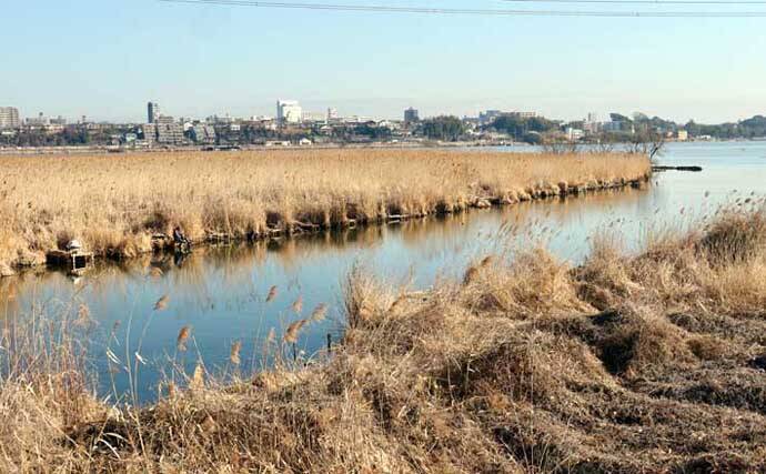 今週のヘラブナ推薦釣り場2026【千葉・大津川】