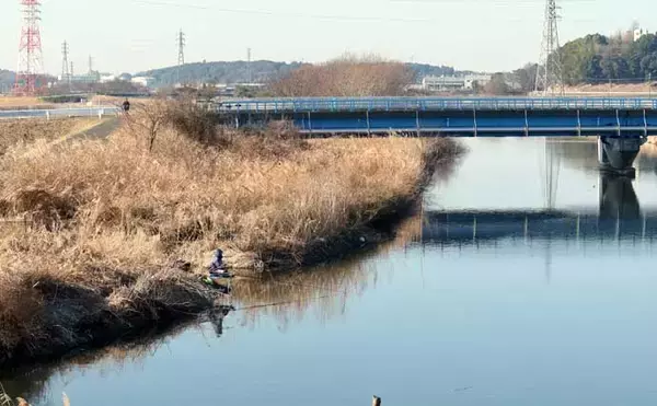 「今週のヘラブナ推薦釣り場2026【千葉・大津川】」の画像