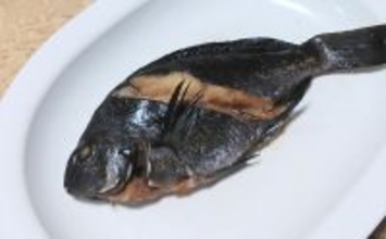 釣った魚で作る「疲労回復」レシピ：小グロの黒糖焼き絞め　メバルでもOK