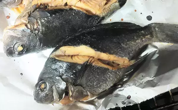 「釣った魚で作る「疲労回復」レシピ：小グロの黒糖焼き絞め　メバルでもOK」の画像
