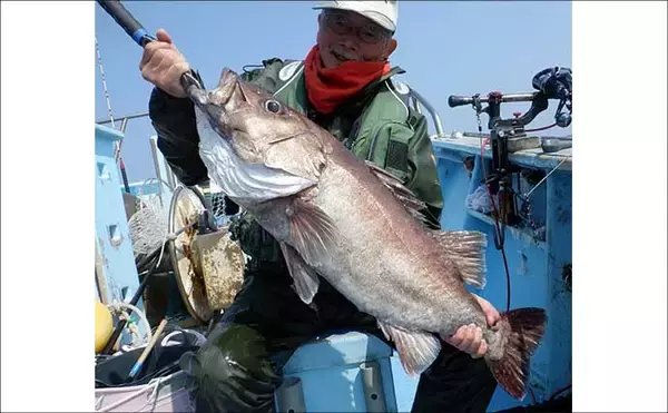 「シーズンラストの底物五目釣りで大型オニカサゴ好反応！【船釣り釣果速報13選・愛知／静岡】」の画像