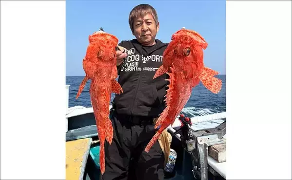 「シーズンラストの底物五目釣りで大型オニカサゴ好反応！【船釣り釣果速報13選・愛知／静岡】」の画像