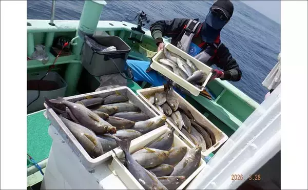 「シーズンラストの底物五目釣りで大型オニカサゴ好反応！【船釣り釣果速報13選・愛知／静岡】」の画像