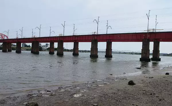 「梅雨明ければ夏ハゼ釣りが開幕！ 夕涼みフィッシングで数釣り満喫【紀の川】」の画像