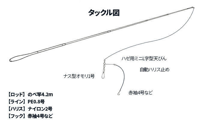 梅雨明ければ夏ハゼ釣りが開幕！ 夕涼みフィッシングで数釣り満喫【紀の川】