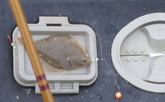 梅雨明ければ夏ハゼ釣りが開幕！ 夕涼みフィッシングで数釣り満喫【紀の川】