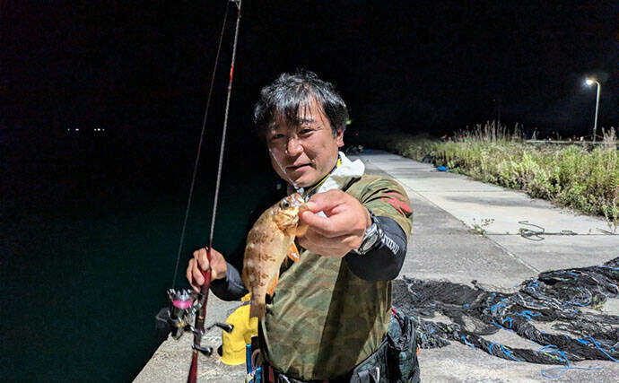 佐渡島のポテンシャルを実感　初の日本海でエギング・ライトゲーム・ショアジギを堪能