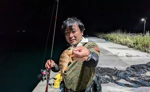 「佐渡島のポテンシャルを実感　初の日本海でエギング・ライトゲーム・ショアジギを堪能」の画像