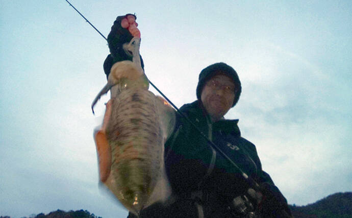 短時間エギングで日本海のアオリイカを狙う【京都】夕マヅメに800g本命を手中
