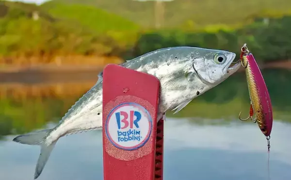 「秋の的矢湾ライトゲームで6魚種キャッチ！【三重】メッキ・カマス・アオヤガラ登場」の画像