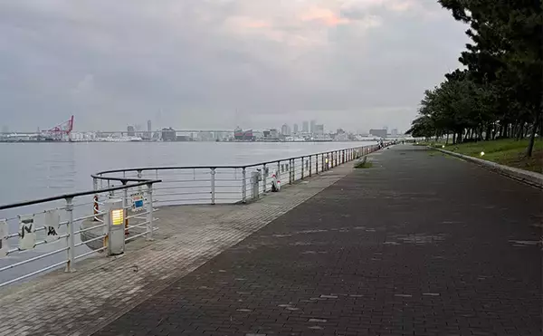 「波止でのジグサビキ釣行でボウズ逃れのサバをキャッチ【大阪南港】雨後の水潮に苦戦」の画像