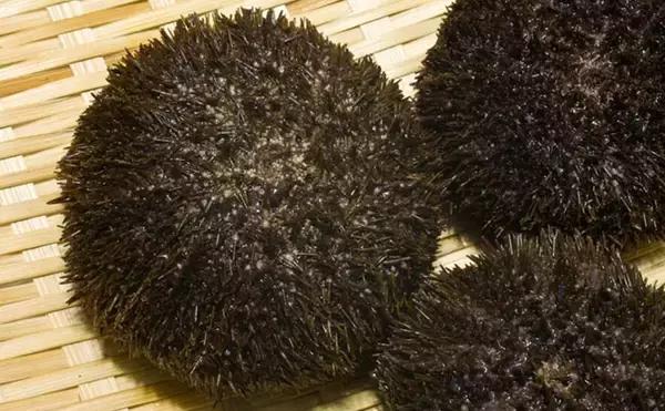 「＜ウニ＞が双子を作る仕組み明らかに！　100年以上の謎とされてきた歴史的発見」の画像