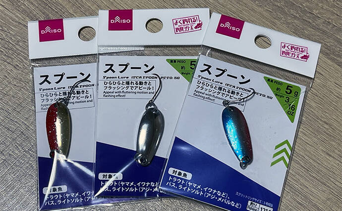 初めて買うルアーは「ダイソーの5gスプーン」で決まり！　コスパ高い＆しっかり釣れる
