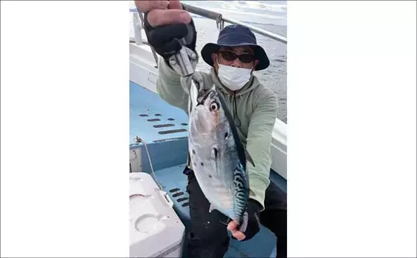 「【沖釣り釣果速報】五島灘のジギング・タイラバ船でヤイトガツオ＆ヒラマサ浮上！（長崎・佐賀）」の画像