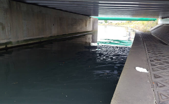 シーバスゲームでコノシロが入れ食い【千葉】63cmシーバスはゲスト扱い？