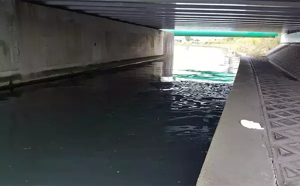 「シーバスゲームでコノシロが入れ食い【千葉】63cmシーバスはゲスト扱い？」の画像