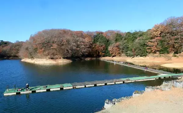 「今週のヘラブナ推薦釣り場【群馬県・三名湖】」の画像