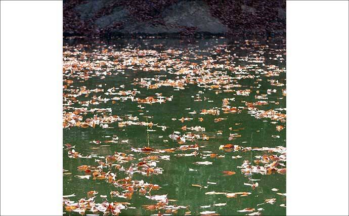 今週のヘラブナ推薦釣り場【群馬県・三名湖】