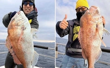 関西エリアの【船釣り特選釣果】ディープタイラバで70cm級大ダイを好捕！深場攻略が的中