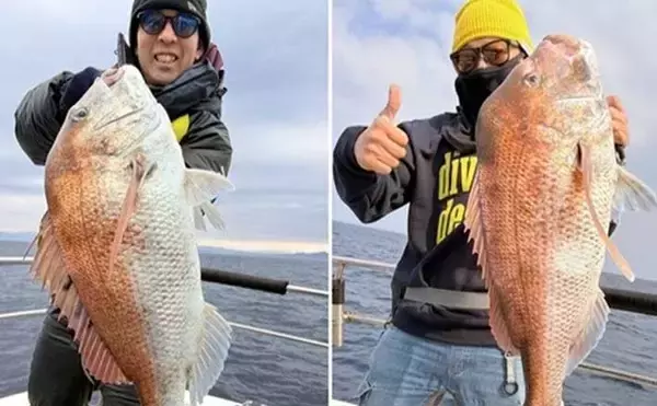 関西エリアの【船釣り特選釣果】ディープタイラバで70cm級大ダイを好捕！深場攻略が的中