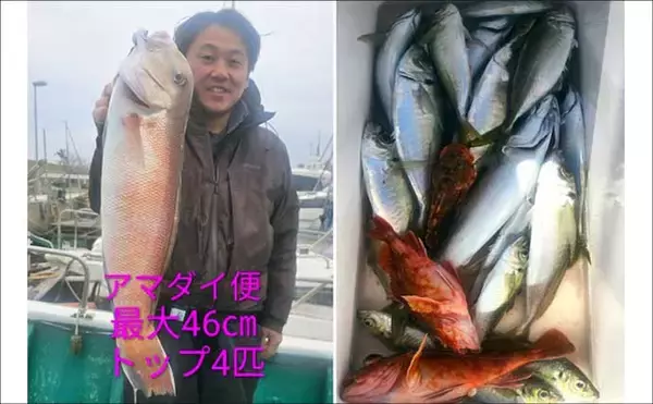 「関西エリアの【船釣り特選釣果】ディープタイラバで70cm級大ダイを好捕！深場攻略が的中」の画像