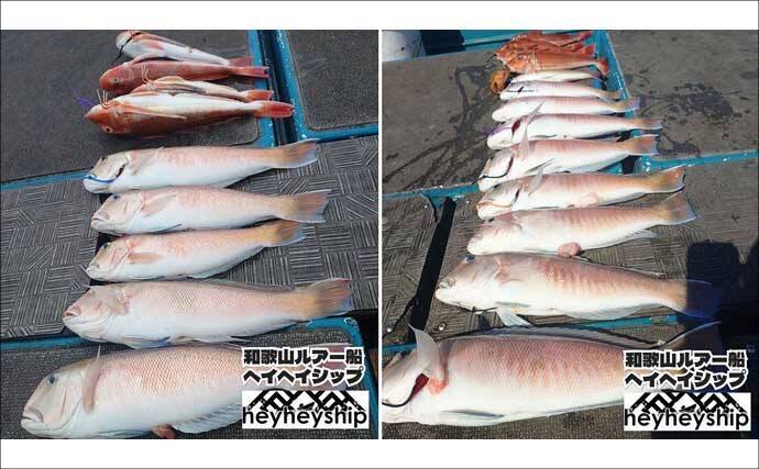 関西エリアの【船釣り特選釣果】ディープタイラバで70cm級大ダイを好捕！深場攻略が的中