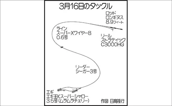「砂利浜でのエギングで1kgアップの春アオリイカをキャッチ！【熊本】」の画像