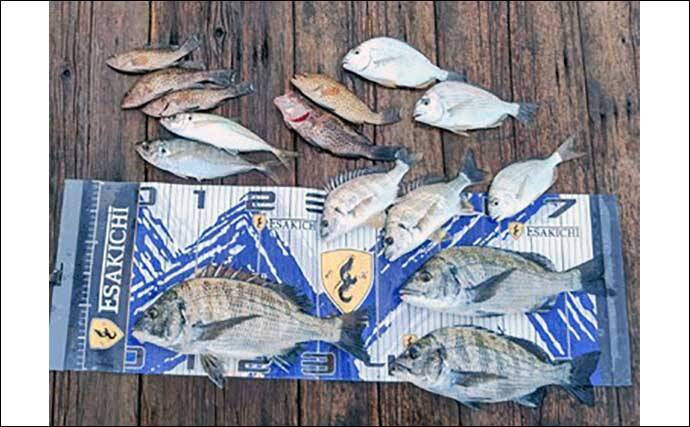 【三重】沖釣り最新釣果　ティップランエギングで良型アオリイカ顔見せ