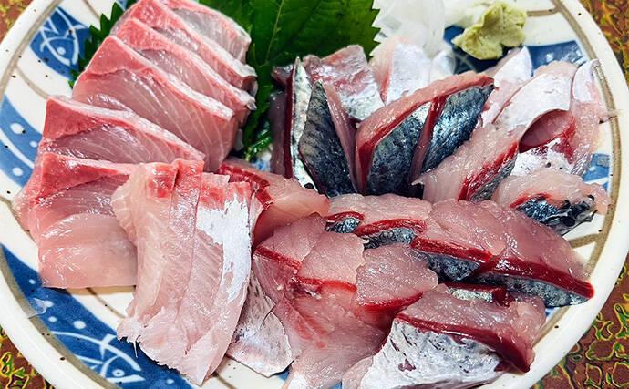 磯フカセ釣りで旬の40cmオーバー大サバ狙い【大分・鶴見】30cm超カワハギも登場