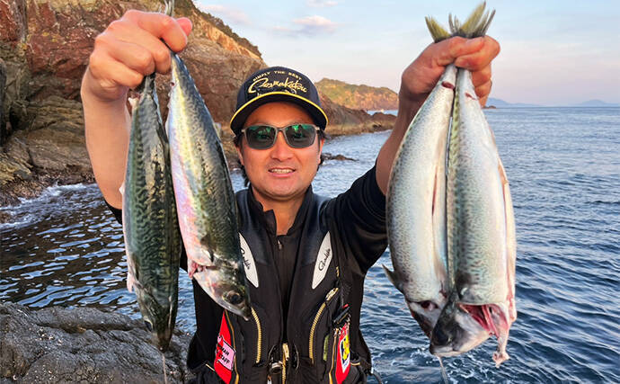 磯フカセ釣りで旬の40cmオーバー大サバ狙い【大分・鶴見】30cm超カワハギも登場