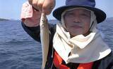 「彦島沖のボートシロギス釣りで20cm頭に23尾キャッチ【山口】吹き流し仕掛けで挑戦」の画像4