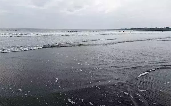 「《2025年版》東京近郊の【無料潮干狩りスポット8選】　注意点やマナーも事前チェックしよう」の画像