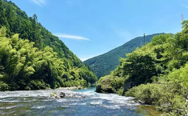 「【水辺の豊かさが小児喘息の罹患リスクを抑止する？】　生物多様性の最新研究に注目」の画像