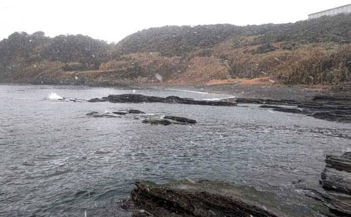 雪中のフカセ釣りで47cm頭にクロダイ4尾手中【千葉・南ケイセン】サラシをかわす沖目攻略で連発