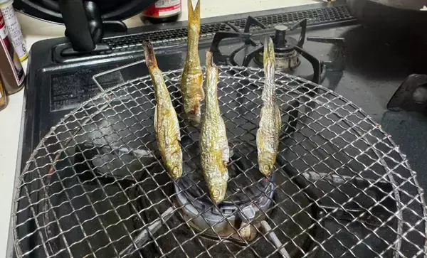 淡水魚トップクラスの味を誇る『ホンモロコ』　逆立ちさせて焼くと美味しいワケとは？