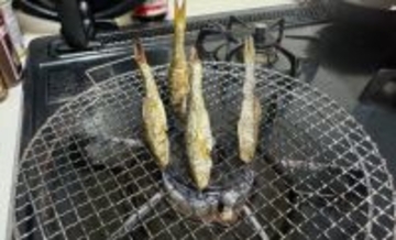 淡水魚トップクラスの味を誇る『ホンモロコ』　逆立ちさせて焼くと美味しいワケとは？