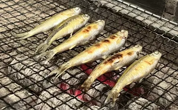 「淡水魚トップクラスの味を誇る『ホンモロコ』　逆立ちさせて焼くと美味しいワケとは？」の画像