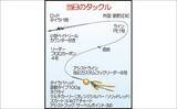 「100円ショップのタイラバに高級美味魚が好反応！【福岡】初挑戦でアコウにマダイをゲット」の画像2