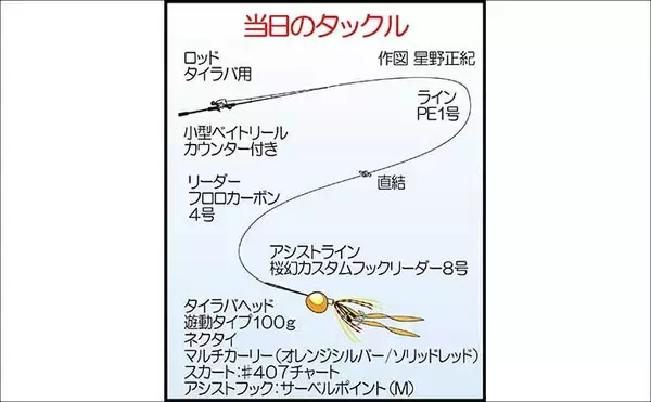 「100円ショップのタイラバに高級美味魚が好反応！【福岡】初挑戦でアコウにマダイをゲット」の画像