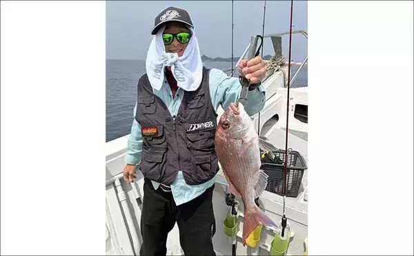 「100円ショップのタイラバに高級美味魚が好反応！【福岡】初挑戦でアコウにマダイをゲット」の画像