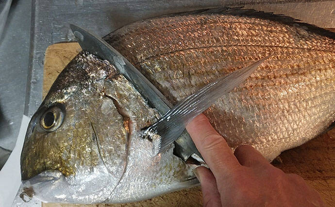 釣魚で作る「焼き物」レシピ：ヘダイの漬け焼き　優しい出汁がポイント