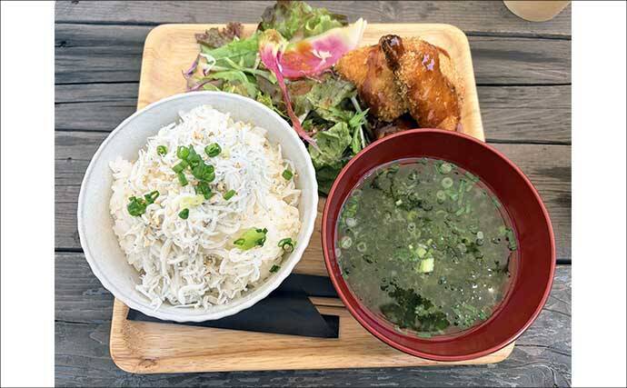釣具屋主催の船シロギス釣行会に参戦【ちがさき丸】釣り初体験でも本命キス手中！