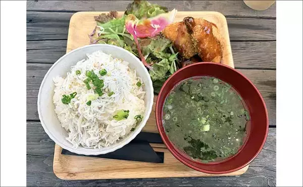 「釣具屋主催の船シロギス釣行会に参戦【ちがさき丸】釣り初体験でも本命キス手中！」の画像